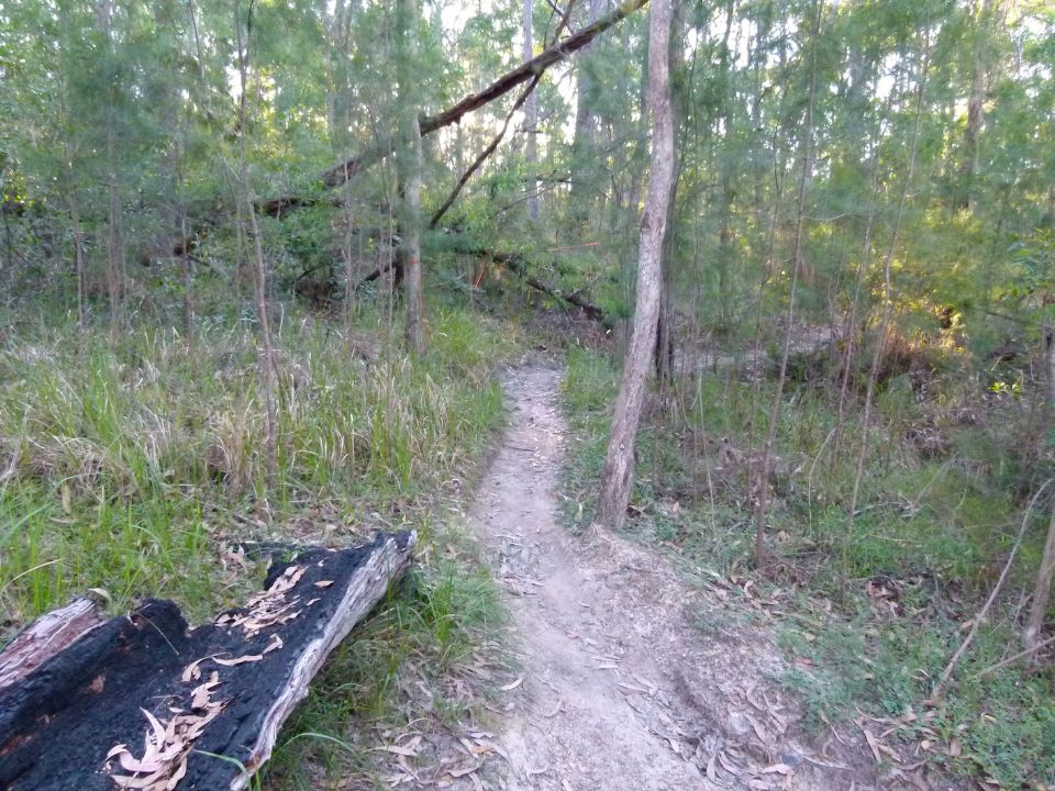 Trail as it was and where it will go